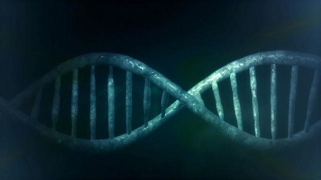 ADN-net-biológica.jpg