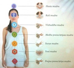 Relación entre mudras y chakras Beneficios Simbología de los Dedos