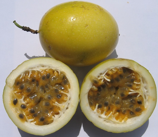 Beneficios de la fruta limoncillo
