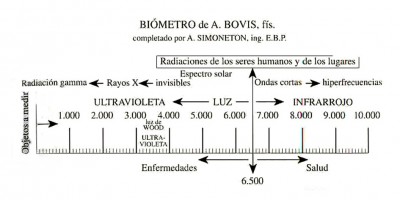 Biómetro de Bovis