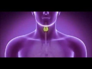 Toxinas y receta para tiroides